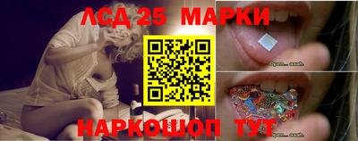 дживик Моздок
