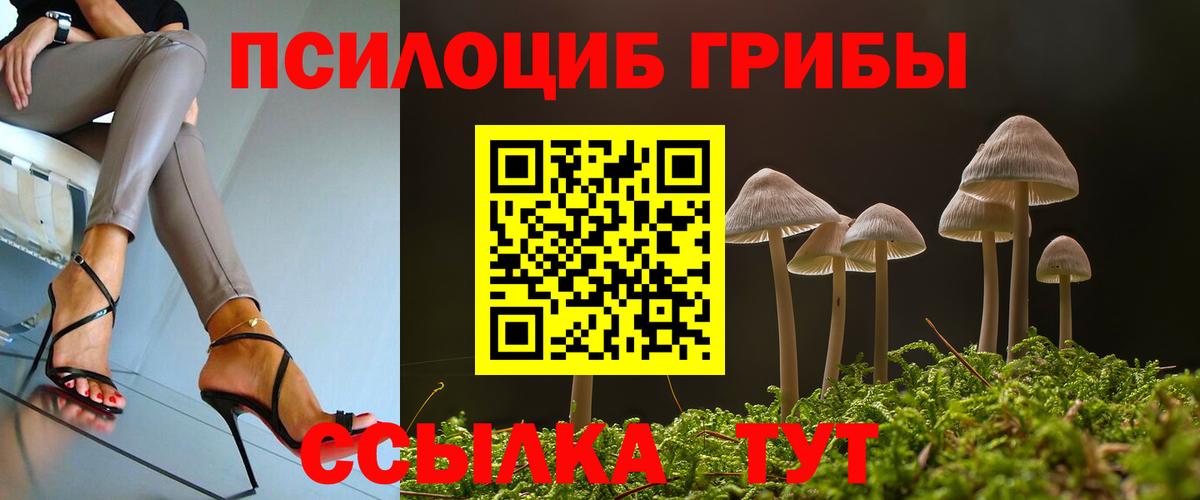 Псилоцибиновые грибы Magic Shrooms  Псилоцибиновые грибы GOLDEN TEACHER  Уварово  Вход с VPN 